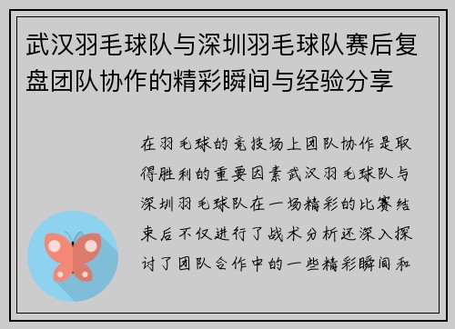 武汉羽毛球队与深圳羽毛球队赛后复盘团队协作的精彩瞬间与经验分享